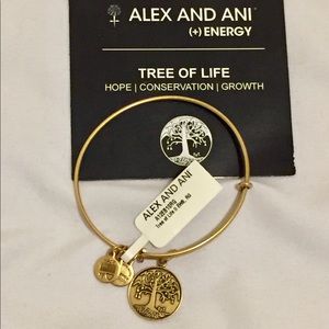 Alex and Ani - Tree of Life charm bracelet